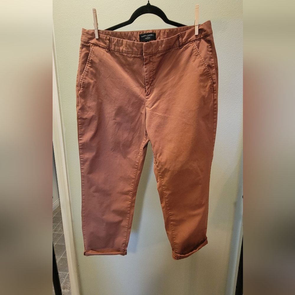 Banana Republic Terracotta Chino Pants